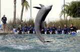 Miami Seaquarium - Ticket Only
